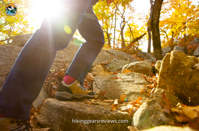 jack wolfskin shoes reviews